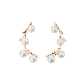 Elegant Freshwater Pearl Earrings WE00430 | GARDENS